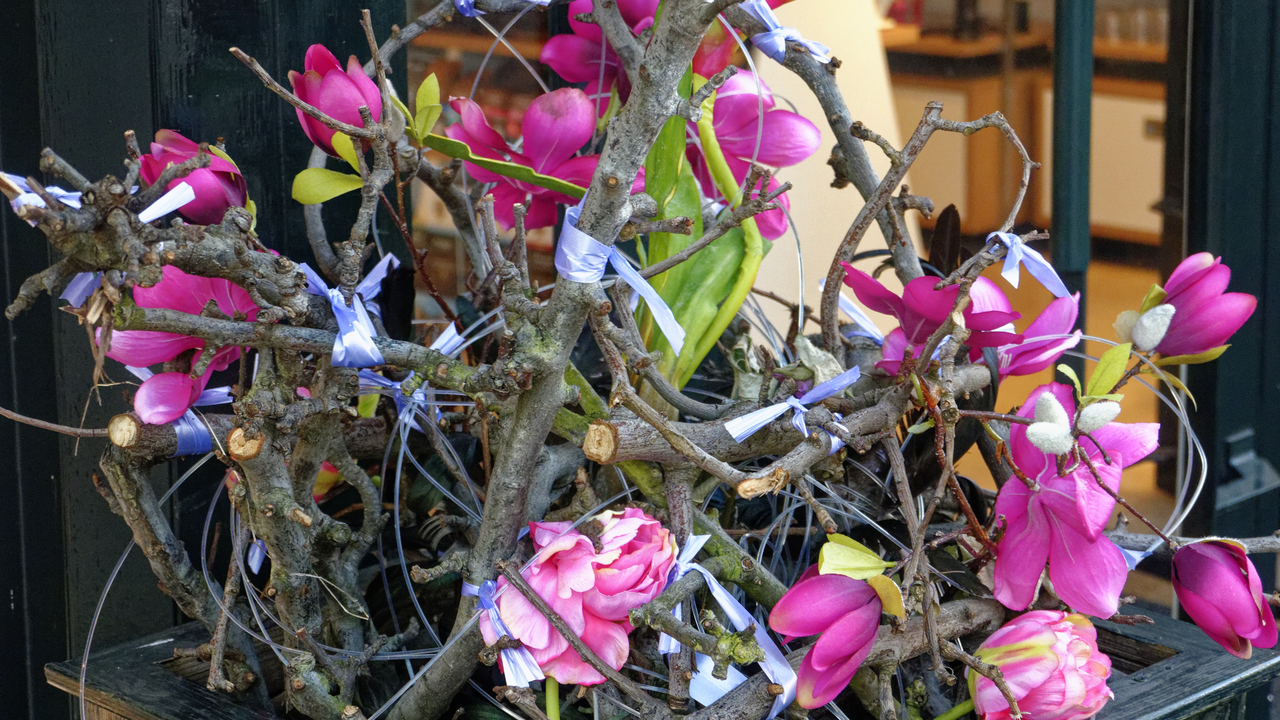 20140417 101417•Hoorn•North Holland•Netherlands